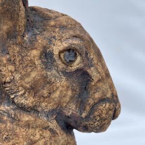 Resting Hare detail